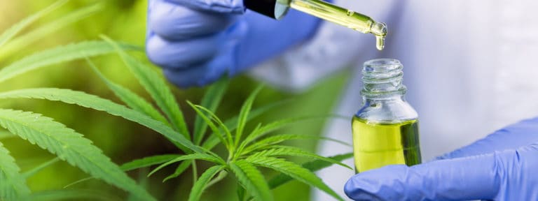 Medicinal cannabis research receives $1.5m boost