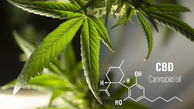 Cannabidiol: The ultimate investor’s guide to a potential $64 billion global market