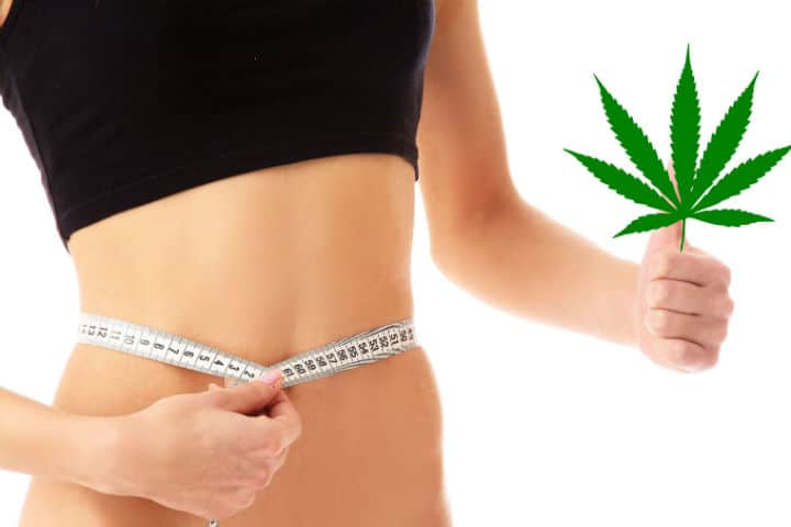 Cannabis Weight Loss? When weed claims clash with reality