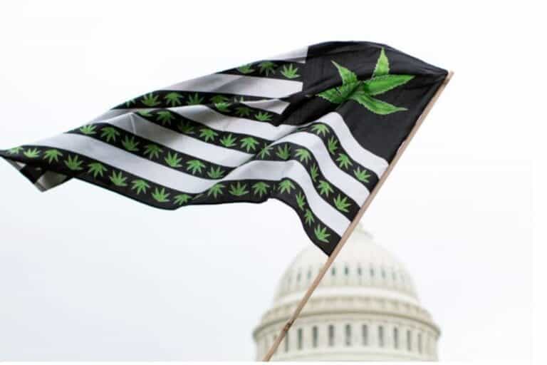 The US Cannabis Bill. Don’t Get Too Excited About Pot’s Senate Prospects.