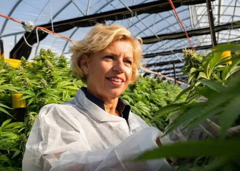 Medicinal cannabis grower ECS Botanics locks in $24m supply deal with MediCann Health