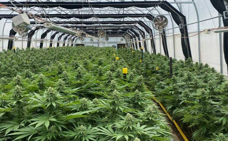 ECS-Botanics-secures-loan-for-growth