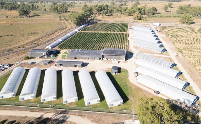 Retail-strategy-delivering-close-to-half-of-ECS-Botanics-sales-revenue