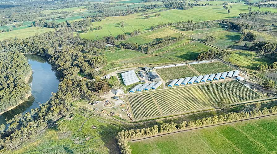 ECS-Botanics-Expands-into-Europe